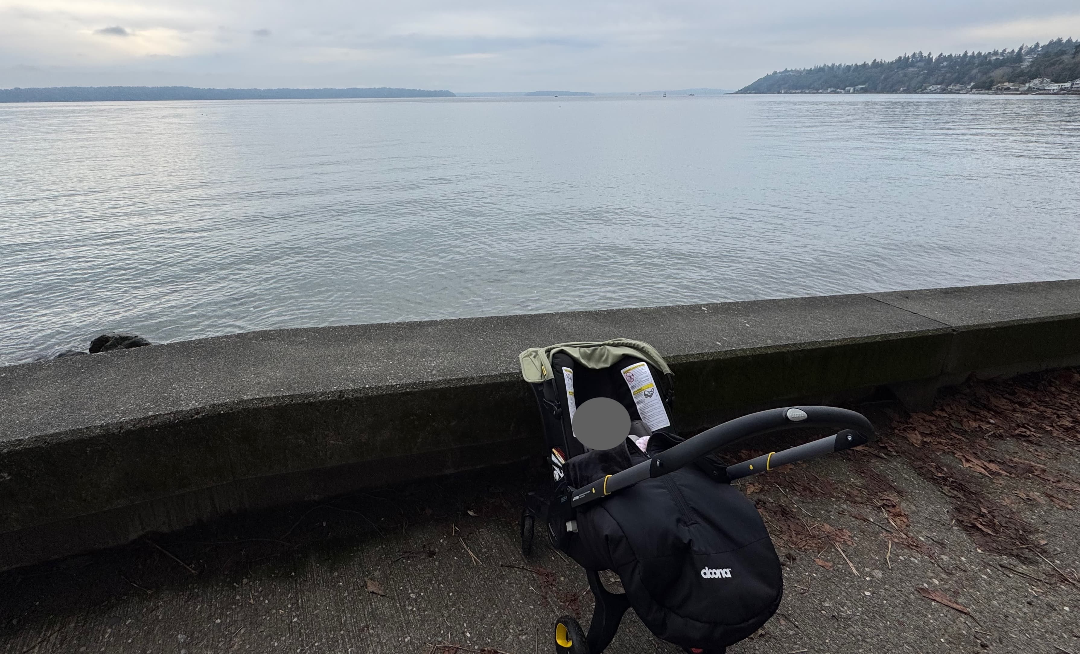 Cover Image for Stork Bites